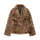 leopard 2